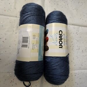 Caron Simply Soft Yarn - Blue